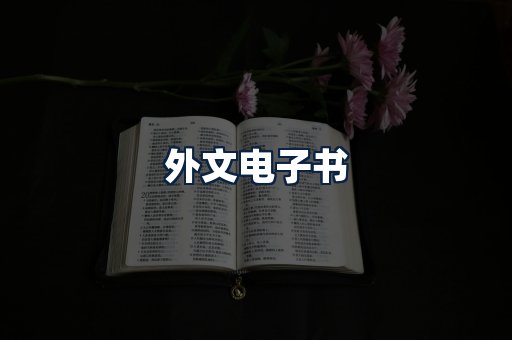 外文电子书